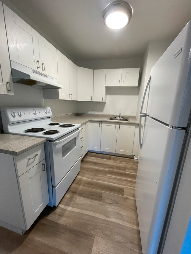 Saint John 3 Bedrooms Apartment for Rent 45405 Coldbrook Cres Long Term Rentals Saint