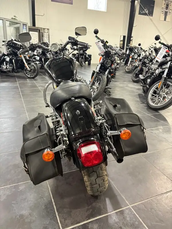 2004 Harley-Davidson Sportster 883 Custom in Sport Bikes in Sudbury - Image 9