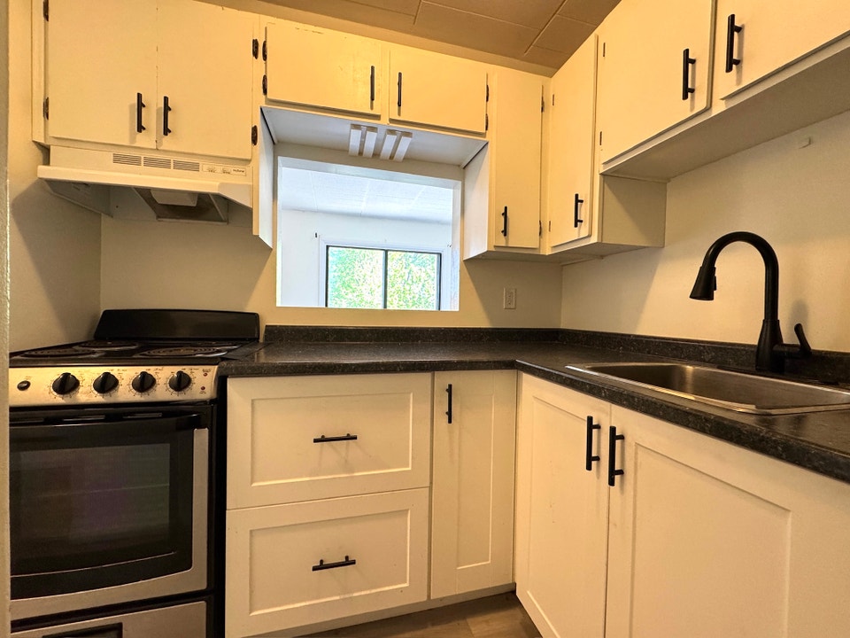 Freshly Renovated 1 bedroom 1 bath apartment in the heart of Poi 3