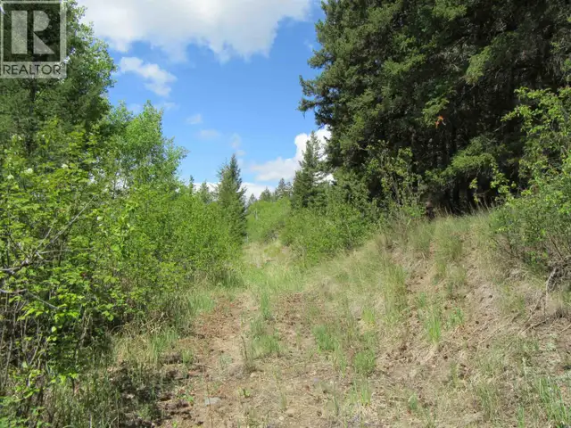 DL 2808 DONOVAN ROAD Lac La Hache, British Columbia in Land for Sale in 100 Mile House - Image 10