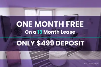Trevella Townhomes is professionally managed by Mainstreet Equity Calgary Rent Discounts Available f...