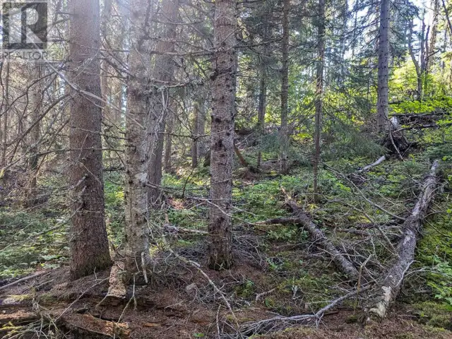 LOT A HUDSON BAY MOUNTAIN ROAD Smithers, British Columbia in Land for Sale in Smithers - Image 14