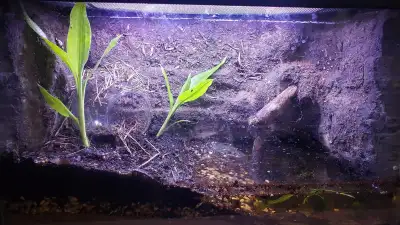 FREE 10 and 20 gallon tanks, View more