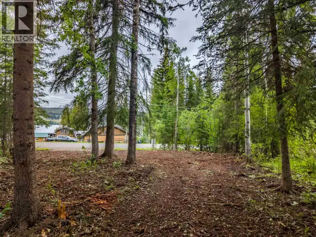 LOT 81 MULLIGAN DRIVE Horse Lake, British Columbia in Land for Sale in 100 Mile House - Image 5