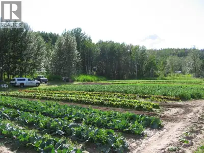 Private 11.87 acres of irrigated farm land, excellent soil for vegetables, berries, orchard, old gro...