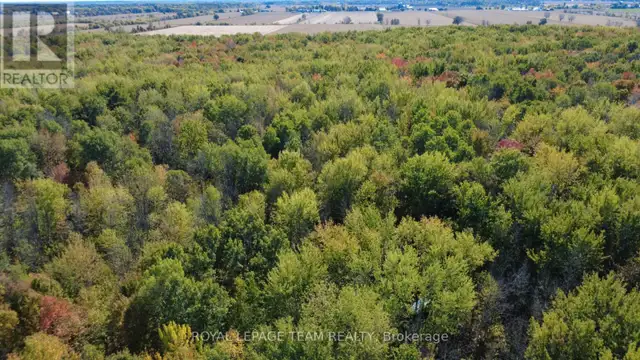 10586 SEIBERT ROAD South Dundas, Ontario in Land for Sale in Brockville - Image 9