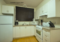 New 1 1/2 Studio All Furnished available august 2024  All New an