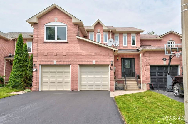 Lower- 38 Pine Gate Place - 38 Pine Gate Place Apartment for Ren in Long Term Rentals in Oshawa / Durham Region