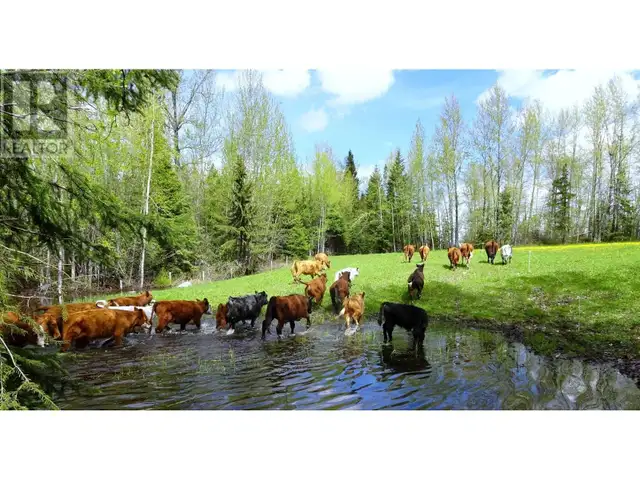 DL4905 DAY ROAD Horsefly, British Columbia in Land for Sale in Williams Lake - Image 3