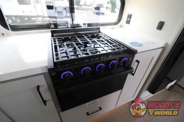 2027 ALLIANCE RV DELTA 292RL in Travel Trailers & Campers in Abbotsford - Image 20