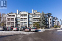 429, 35 Richard Court SW Calgary, Alberta