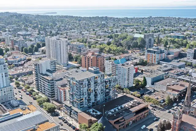 1+den suites in downtown Victoria at Yello on Yates Apartments! in Long Term Rentals in Victoria - Image 16