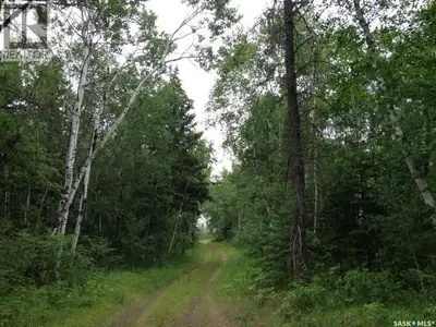 A rare opportunity to secure your own piece of Northern Saskatchewan wilderness. This 1+ acre parcel...