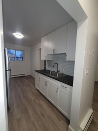 70 Albert Street Cambridge Kitchener Area Preview