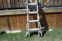 Multi Position Ladder