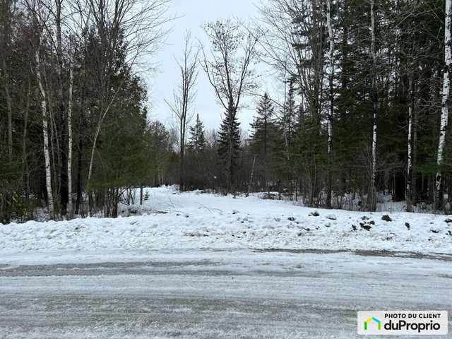 249 000$ - Terrain résidentiel à vendre à Canton-de-Hatley dans Terrains à vendre  à Sherbrooke