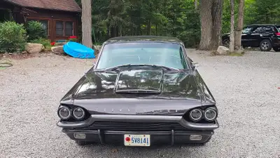 I have decided it may be time to part with my 1964 Ford Thunderbird. This is not an easy decision, a...