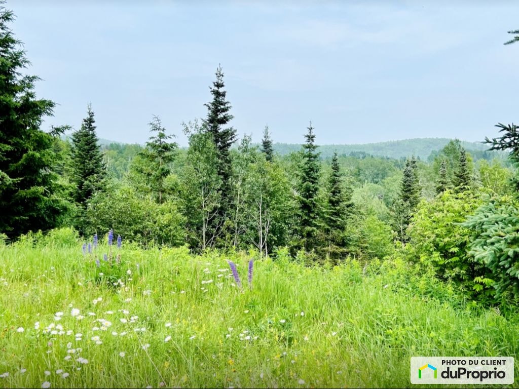 $79,999 - Residential Lot for sale in Les Eboulements — photo 3