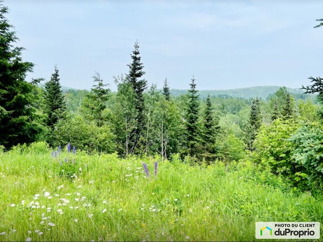 $79,999 - Residential Lot for sale in Les Eboulements — photo 3