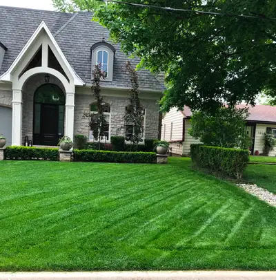 Spring  Cleanup & Weekly Grass Cutting – Oakville | 15% Off, View more