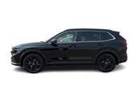 4X4, Cuir, Nav, DVD, Carplay, Wi-Fi, Bluetooth, Caméra, Phares à DEL, Jantes, Bouton de démarrage, A... (image 6)