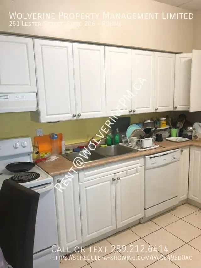 Male Student Housing in Waterloo - Students Only in Long Term Rentals in Kitchener / Waterloo - Image 4