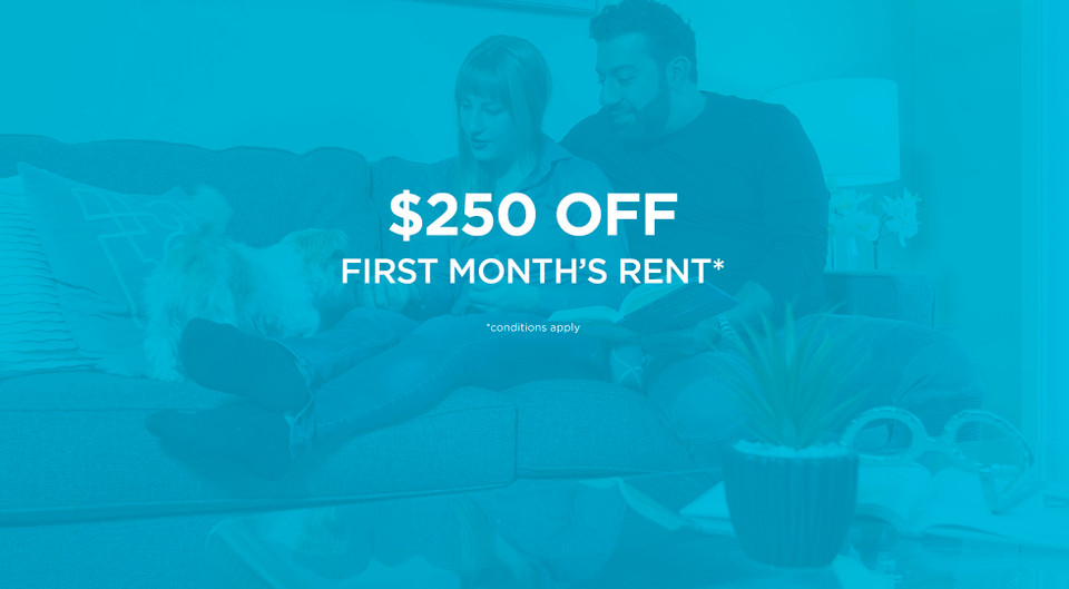 Pet-Friendly Two Bedroom Two Bath with In-suite Laundry for Rent in Long Term Rentals in Edmonton