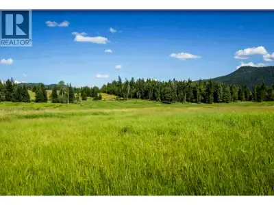 Discover this exceptional 2.71-acre parcel located just across from Canim Lake Provincial Park/Beach...