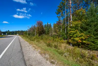 La pleine nature à distance de marche des services et de l'école. Terrain de 13 acres à la sortie du...