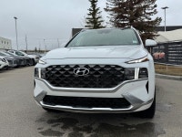 The Ultimate Calligraphy is designed to compete with entry-level luxury SUVs by offering a high-end... (image 3)