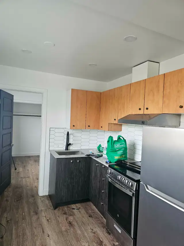Apartment toute renové 3 1/2 in Long Term Rentals in Longueuil / South Shore - Image 2