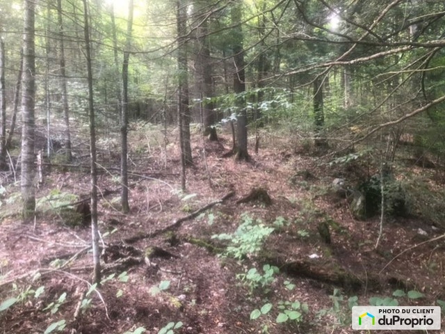 $79,800 - Price taxes not included - Residential Lot for sale — photo 2