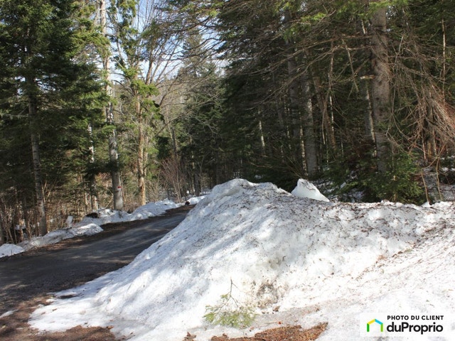 $55,000 - Residential Lot for sale in Ste-Anne-Des-Monts — photo 3