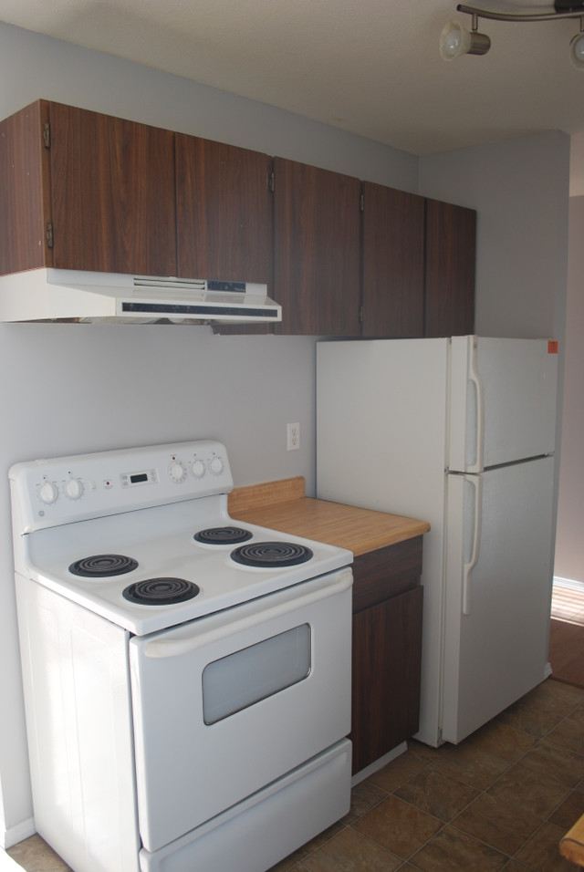 Heritage House - 2 Bedroom 1 Bath Apartment for Rent in Long Term Rentals in Dawson Creek - Image 3