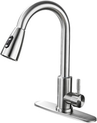 Kitchen Faucet with Pull Down