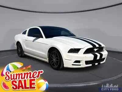 City Ford is Family Owned and Operated serving Edmonton and area for Over 37 Years - Over 300 New &...