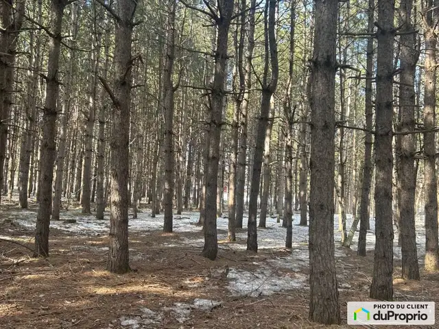 $199,000 - Residential Lot in Drummondville (St-Nicéphore) in Land for Sale in Drummondville - Image 6