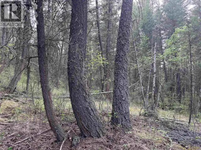 550 DOG CREEK ROAD Williams Lake, British Columbia in Land for Sale in Williams Lake - Image 7