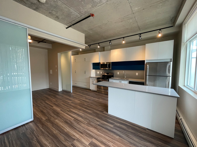 STUNNING 1 BED LOFT, $1365 IN OLIVER SQUARE EDMONTON in Long Term Rentals in Edmonton