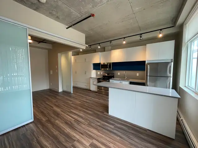 UNIQUE 1 BEDROOM LOFT STYLE APARTMENT IN OLIVER SQUARE630083156343071210