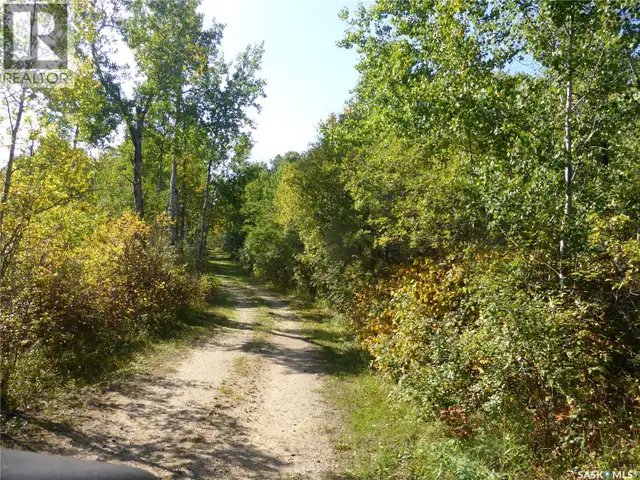 Henry full quarter with home north of, Turtle Lake Mervin Rm No. in Houses for Sale in Prince Albert - Image 21