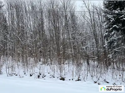 Magnifique terrain pour les aimants de la nature. Situé dans le Domaine des Appalaches, site qui vou...