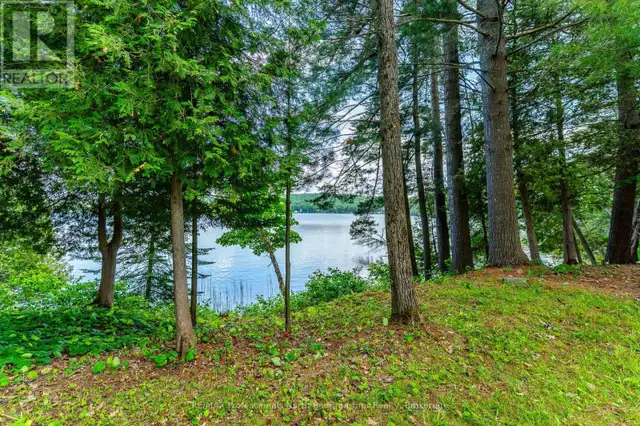 1230 NORTH SHORE ROAD Algonquin Highlands (Stanhope), Ontario in Houses for Sale in Muskoka - Image 7