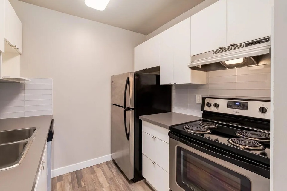 Spacious, pet-friendly apartments for rent 2