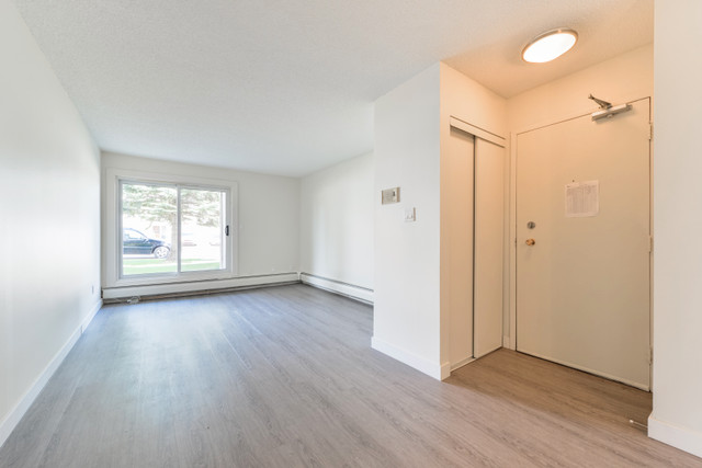 2 Bedroom - 15123 45 Ave. NW in Long Term Rentals in Edmonton - Image 2