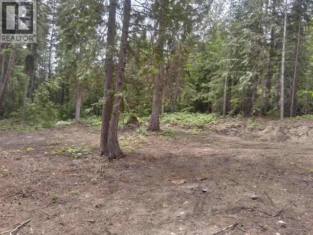 LOT A CANIM-HENDRIX LAKE ROAD Canim Lake, British Columbia in Land for Sale in 100 Mile House - Image 21