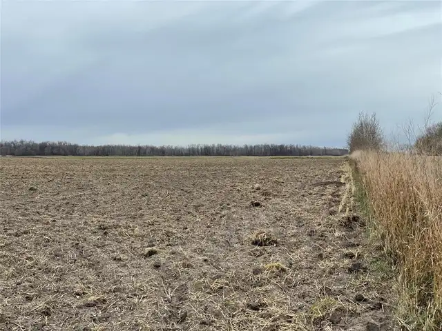 0 40W/47N Road St Claude, Manitoba in Land for Sale in Portage la Prairie - Image 7