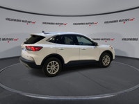 Meet the used 2022 Ford Escape SE AWD at Haldimand Motors Ltd. in Cayuga, a smart choice for drivers... (image 7)