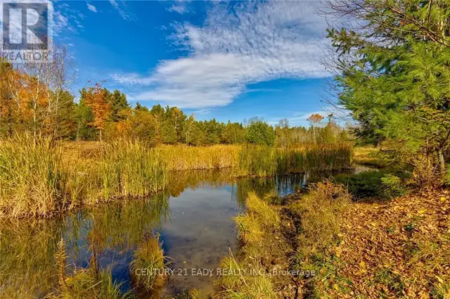 330 ISLAND VIEW DRIVE North Algona Wilberforce, Ontario in Land for Sale in Pembroke - Image 24