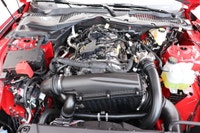 Capital Ford Lincoln Winnipeg Ltd (MB's #1 Rated Ford Store) Helping find the perfect vehicle FOR YO... (image 5)